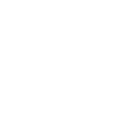 Adviesbureau Janssen Echt - white logo